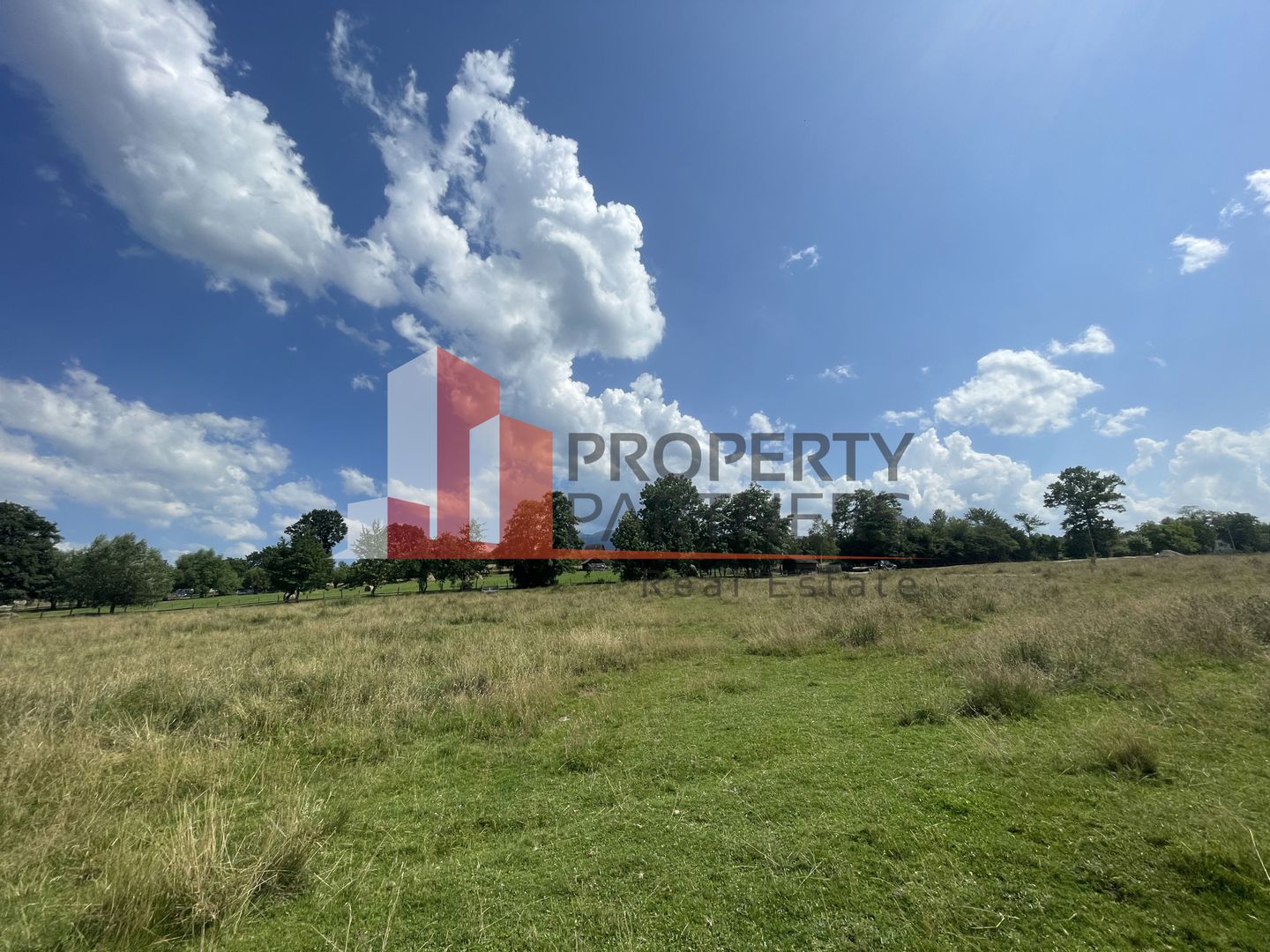 Teren de vanzare in  Tohanu Nou-Sohodol 6200 mp - Poză 2