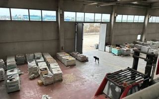 Hala de inchiriat in zona Calea Aradului - Poză 10