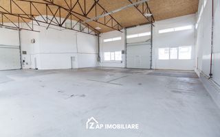 Hală 360 mp - Pardoseală Elicopterizată - Acces TIR & Curent Trifazic - Poză 3