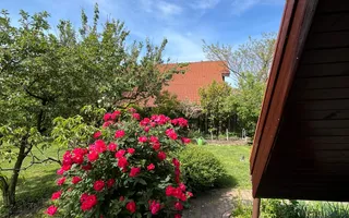 Casă elegantă, spațioasă, ideală pentru familie – Sanmihaiu Roman - Poză 27