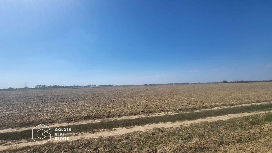 Teren Mosnita Noua, 11600 mp - Poză 2