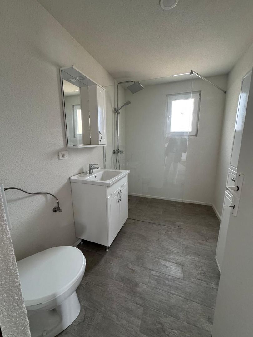 De vanzare Casa vila openspace P+M Relax naturi Mures trei insule Arad - Poză 5