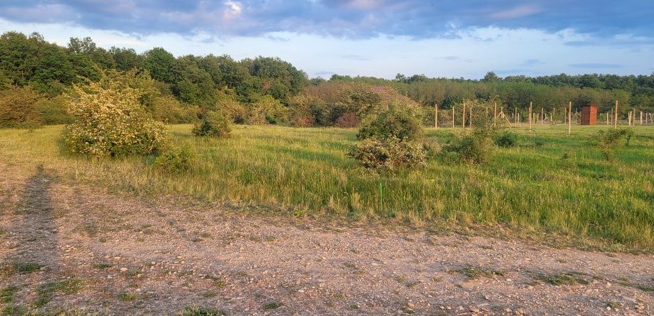 Teren intravilan in Gepiu - Poză 1