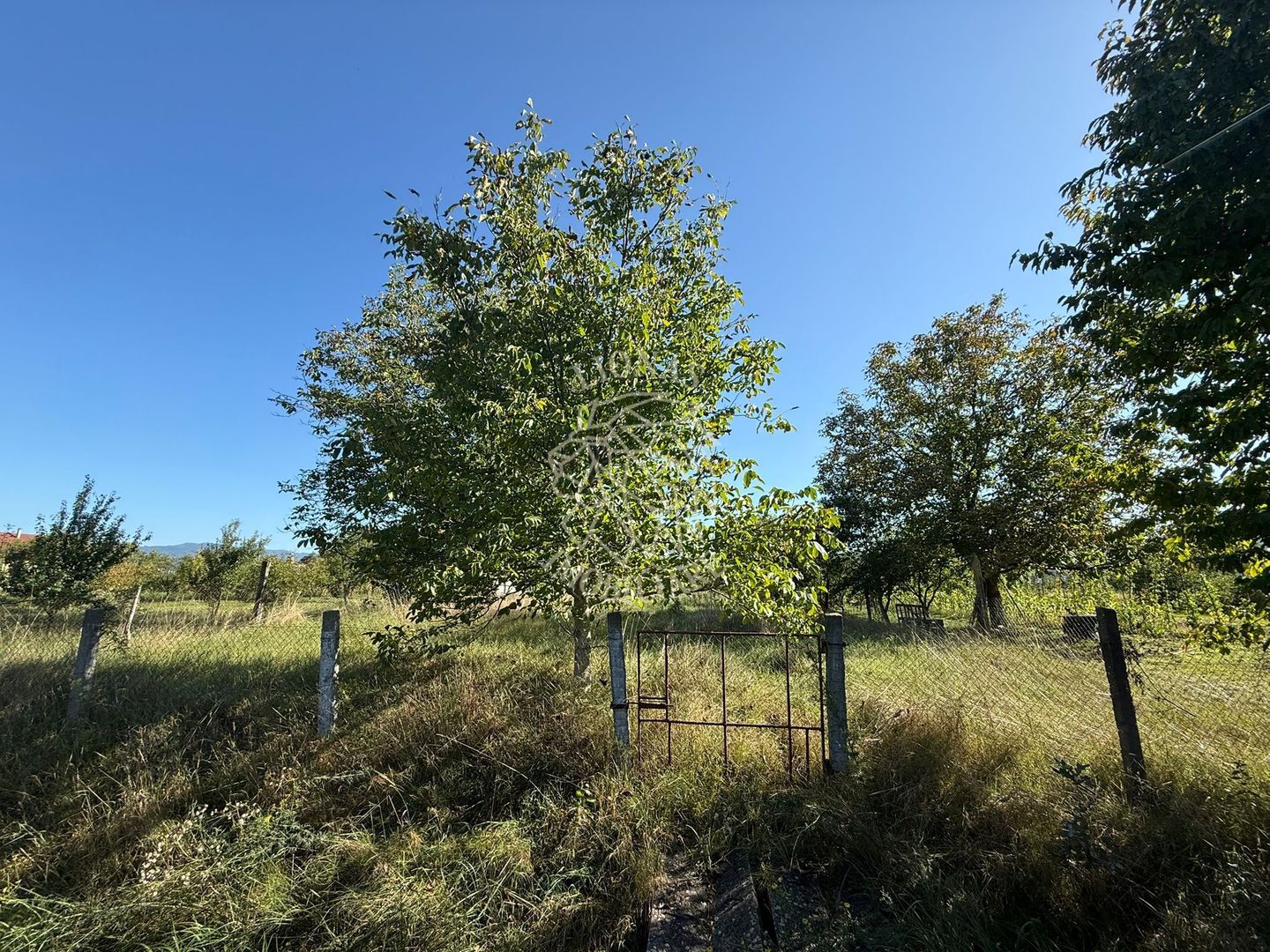 Teren intravilan 965 mp-imprejmuit-ideal casa-Livezile - Poză 2