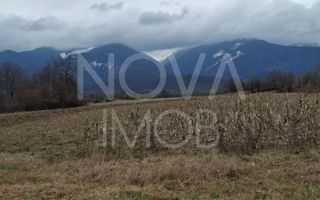 Teren extravilan de vanzare - Arpasul de Sus - Poză 7