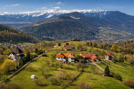 
    &nbsp;DE CE ZONA BRAN
  