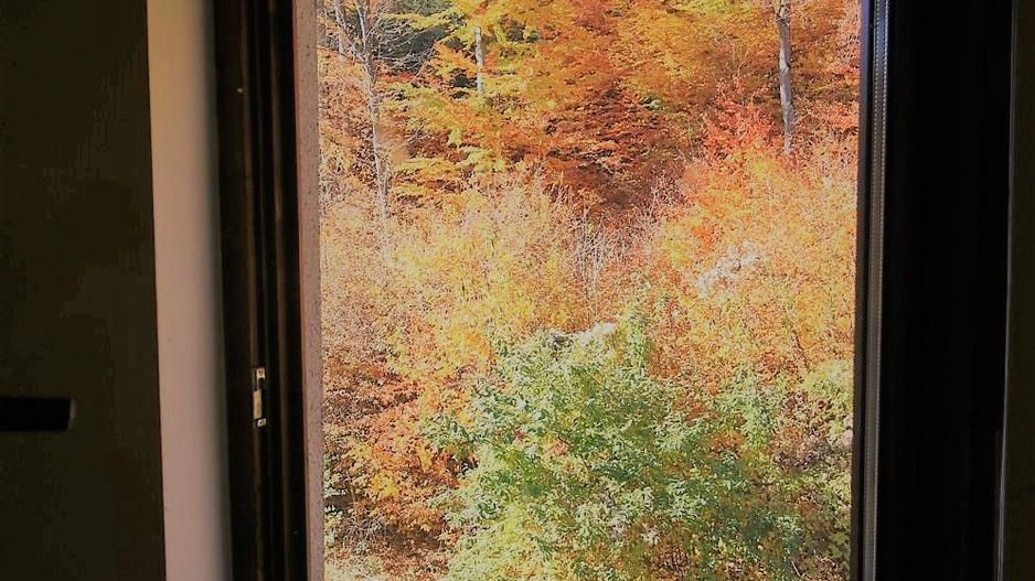 Exclusivitate - Garsoniera structura mare, decomandata - Poză 1