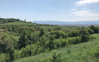 Teren extravilan - 8000 mp, Gusterita - Poză 3