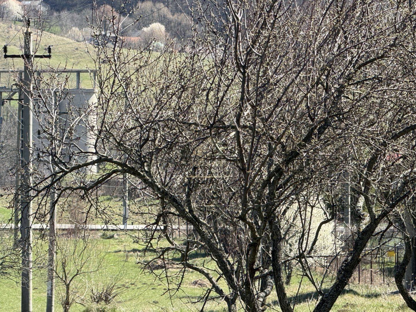 TEREN INTRAVILAN 2800MP CAMPULUNG ZONA PESCAREASA - Poză 10