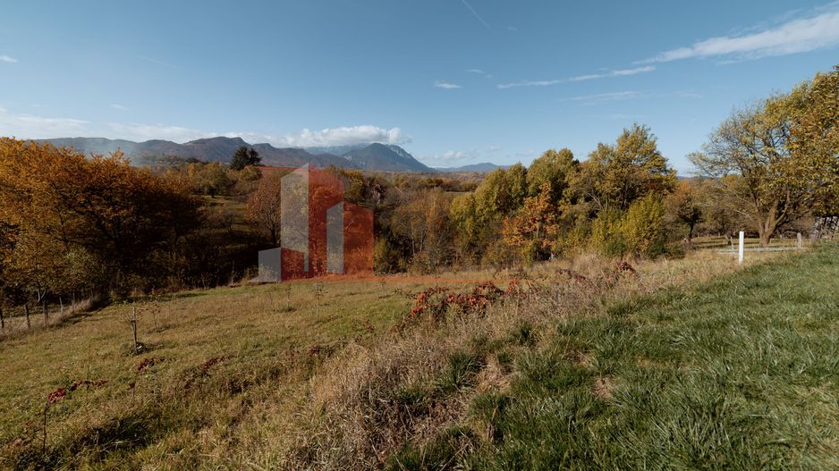 Casa de vacanta Bran -  Sohodol - Poză 20