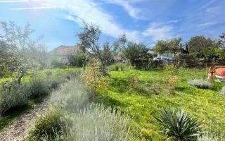 Casa+teren 3100 mp, Balda, jud. Mures - Poză 29