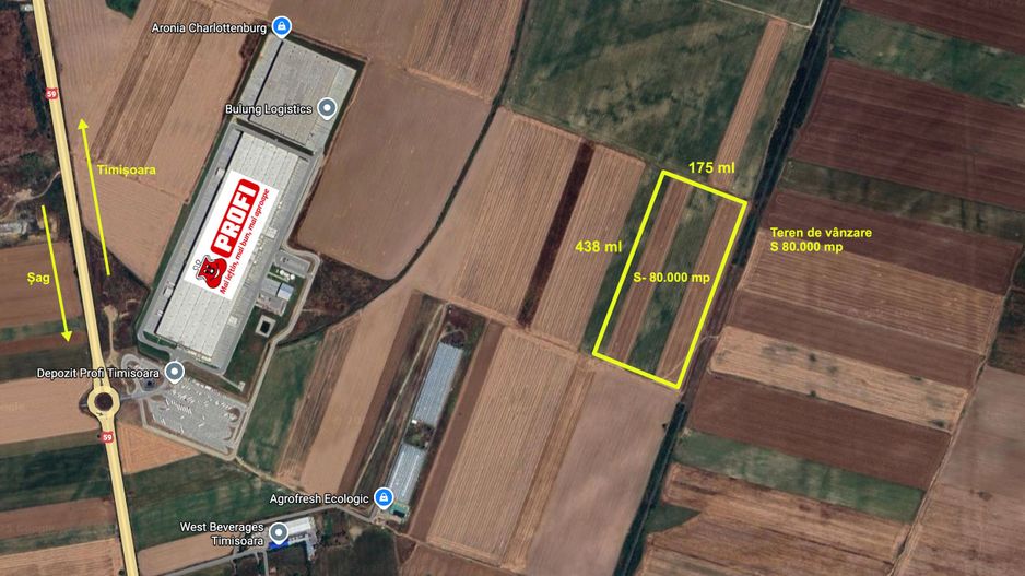Teren extravilan 80.000 mp – lângă calea ferată & Profi Logistic – Șag - Poză 1
