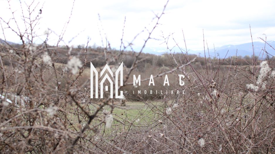 Oportunități de Investiție în Terenuri Sebesul de Sus - Poză 12