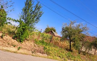Casă cu teren generos | 18 km de Sibiu | 2400 mp teren | Anexe& Construcție noua - Poză 3