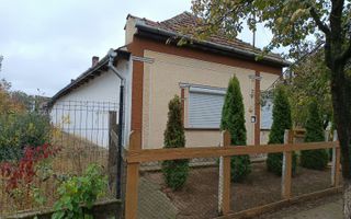 Casă tradițională cu teren de 4.400 mp în Vașad - Poză 4