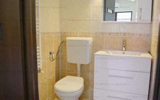 Inchiriere Vila 4 camere Bucurestii Noi - Poză 9