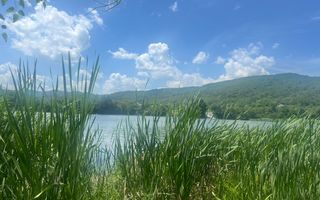 Teren Fedelesoiu/3200 mp/Intravilan - Poză 7