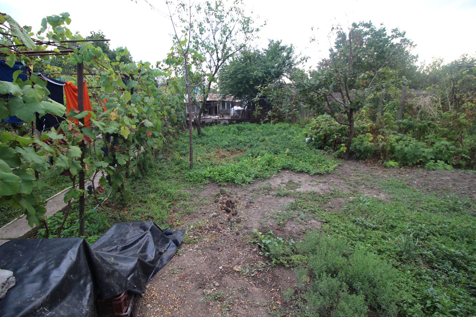 Teren pentru duplex/casa individuala Zona Mehala - Poză 4