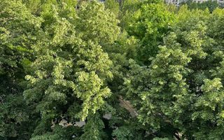 Apartament 2 camere spatios | Birouri / locuit | Bd.Unirii - Tribunal - Poză 10