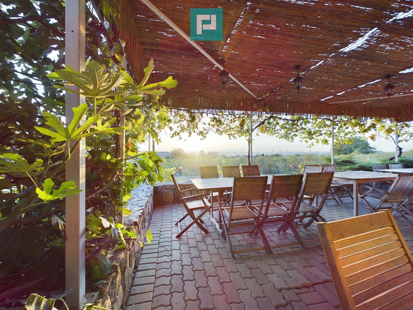 Spațiu comercial - Crama Pivnițele Birăuaș - Poză 15