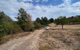 Sapient | Teren intravilan în Săldăbagiu de Munte 4.316 mp - Poză 3