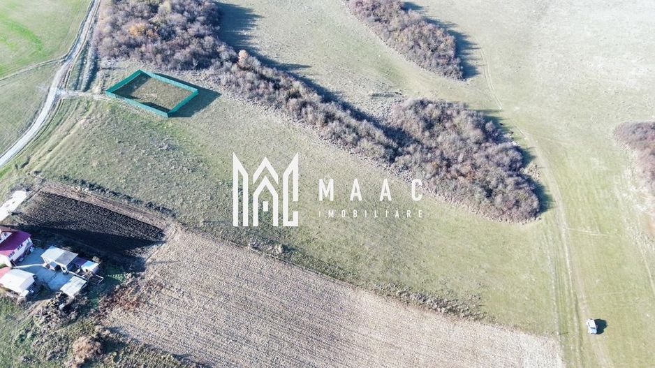 Teren | 651MP | Extravilan | Rusciori - Poză 9