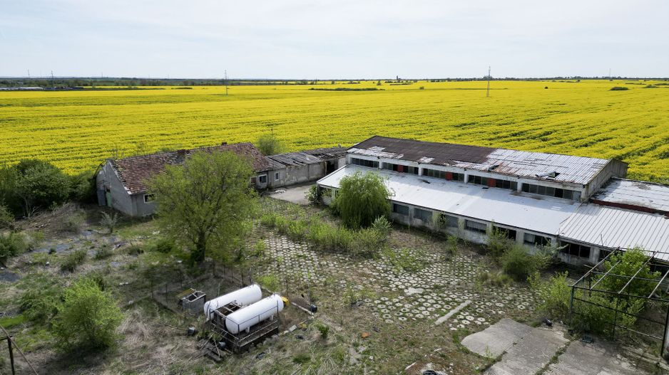 Oportunitate de afaceri deosebită - Poză 4