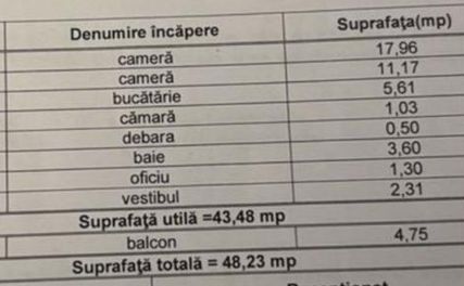 2 camere | Ion Mihalache | 1 Mai | Grivita | Domenii - Poză 15