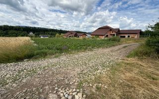 Teren intravilan | Horodnic de Sus | 1.920 mp - Poză 4
