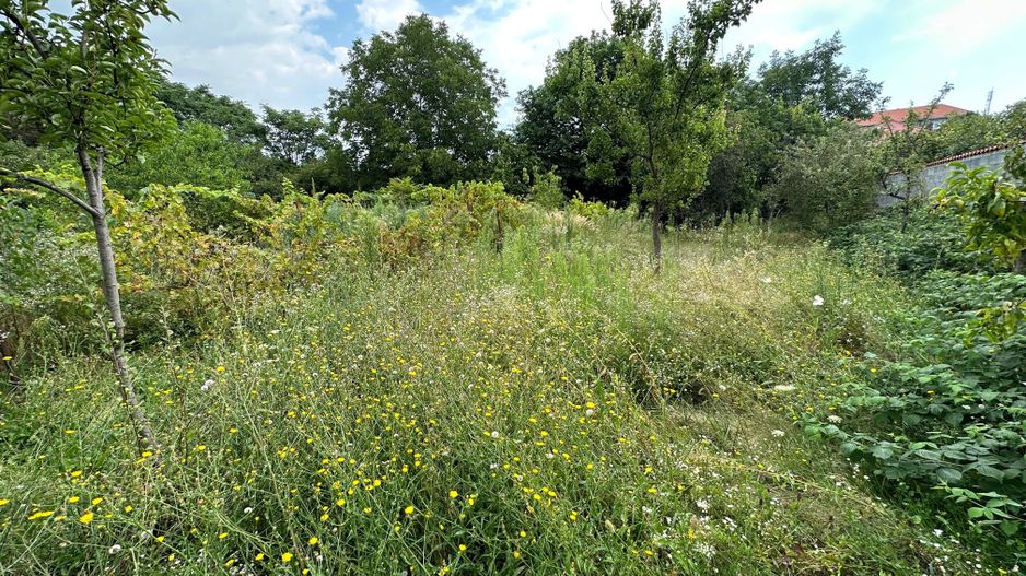 Casa zona Bălcescu teren 1082 mp - Poză 22