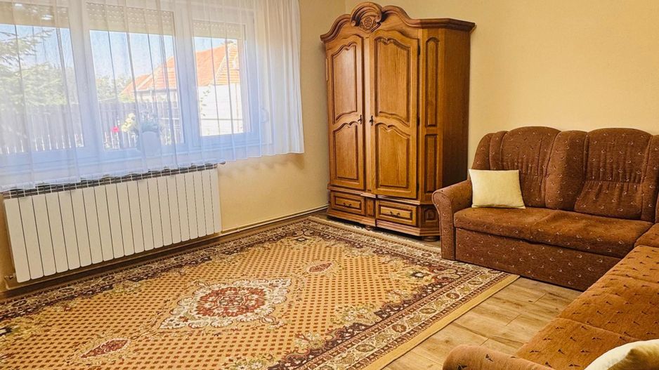 Casa parter si etaj - teren 1250 mp in Satu Nou Comuna Tamaseu - Poză 2