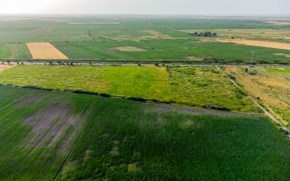 Teren pentru investiție DN7 - Poză 1