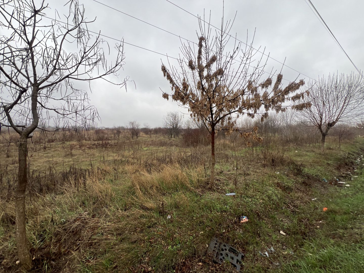 Teren la DN7 - ideal investitie (Benzinarie, spalatorie, hala) - Poză 8