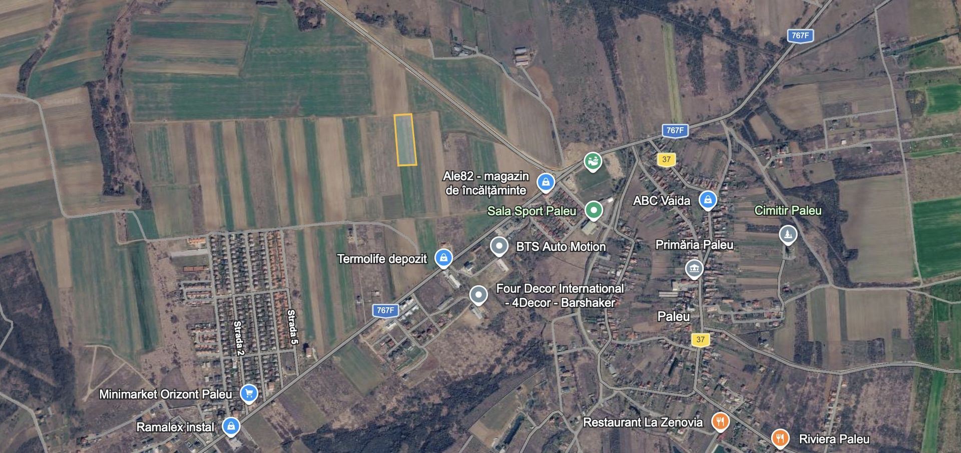 Teren extravilan de vânzare în Paleu - Poză 1
