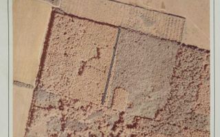 Teren arabil si padure de vanzare - Poză 5