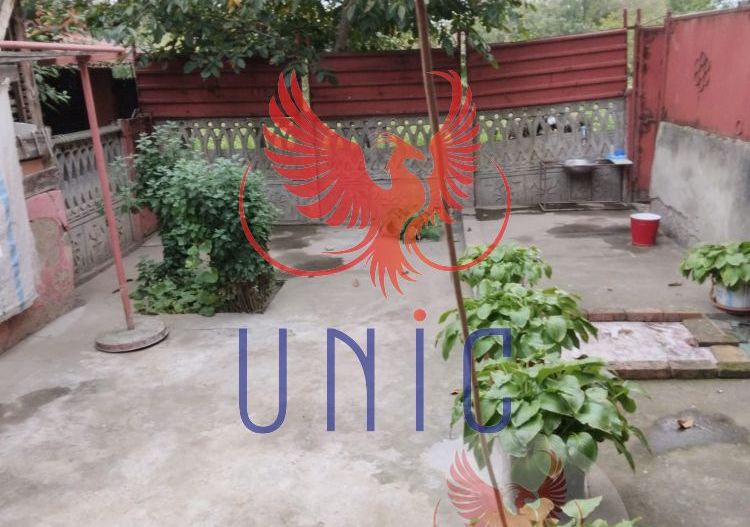 Casa, 24 500 Euro, Maglavit - Poză 16