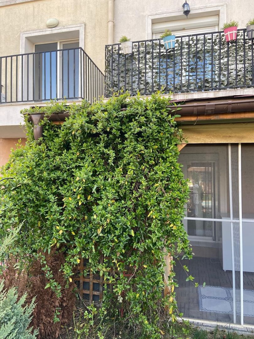 VILĂ MODERNĂ || 3 CAMERE ȘI ACCES LA PISCINĂ || COSMOPOLIS - Poză 14