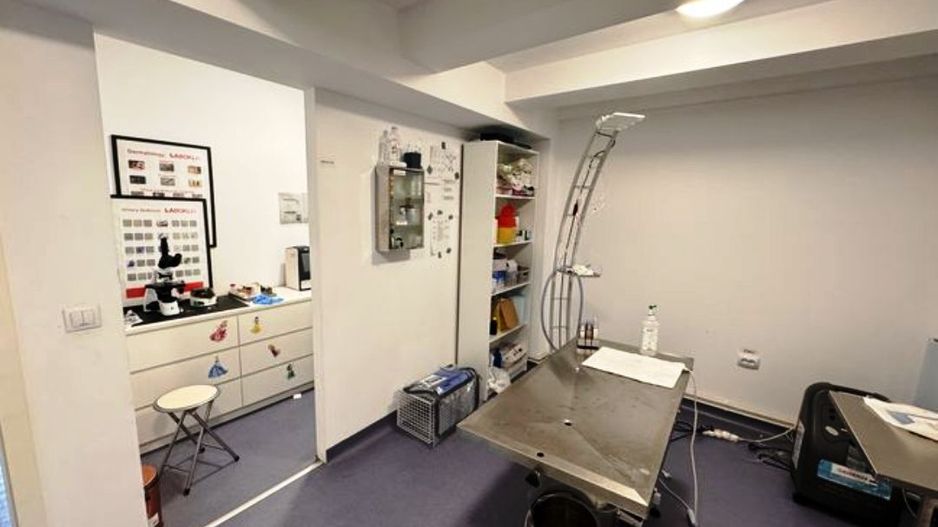 Spatiu comercial in centrul Brasovului - Poză 6