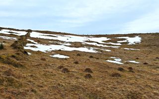 4663mp, in Statiunea Turistica Montana BELIS – FANTANELE, jud. Cluj - Poză 4