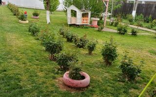 Casa cu teren generos/de vanzare/com Leu, Dolj - Poză 26