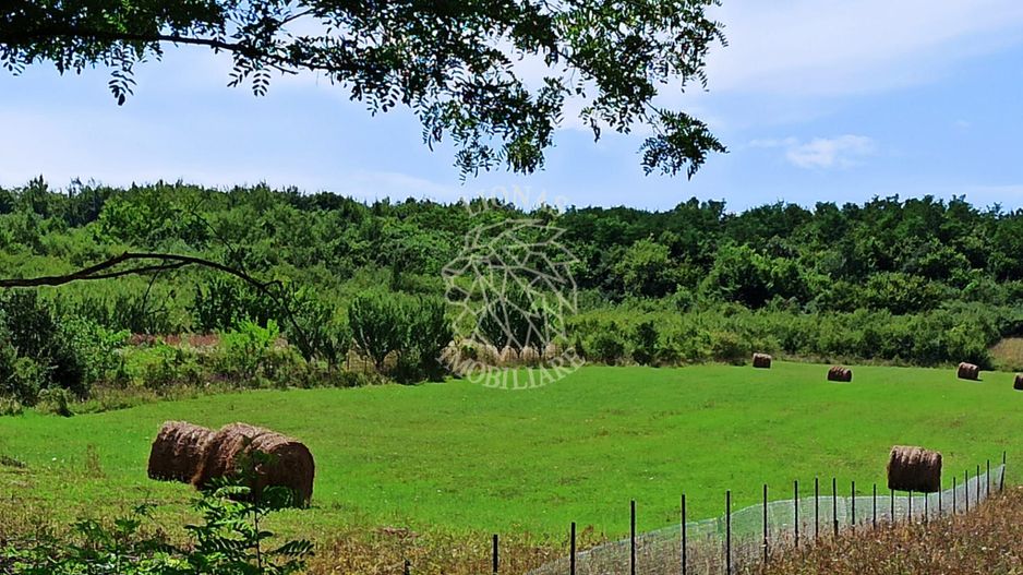 Parcele teren 4038 mp - Parcelabil - Zona Valea Stanelor - Poză 1