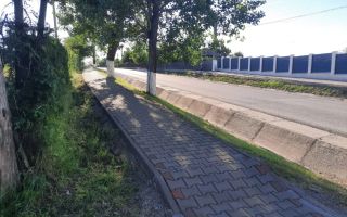 # intravilan în Țigănași la strada principală - Poză 2