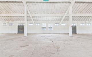 Hale 1800 mp fiecare – acces autostradă, Teiu, HD - Poză 7