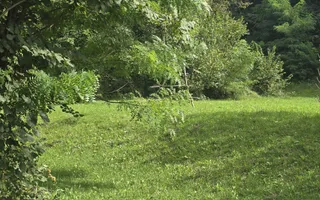 Oportunitate de investiție în Breaza – teren intravilan de 3.591 mp - Poză 18