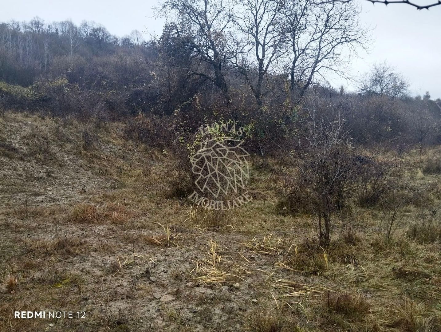 Teren 1000 mp-ideal casa de vacanta, investitie-Zona Valea Budacului - Poză 4