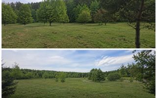Teren extravilan 2000 mp | Rășinari | livadă, lângă Cisnădioara - Poză 2