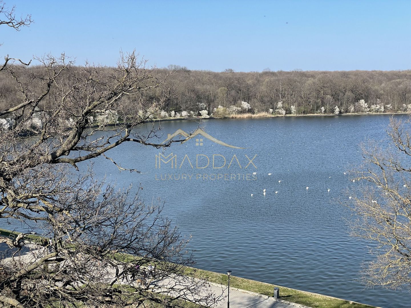 Duplex 4 camere _LUX_Modern***Lake view//Chitila - Poză 19