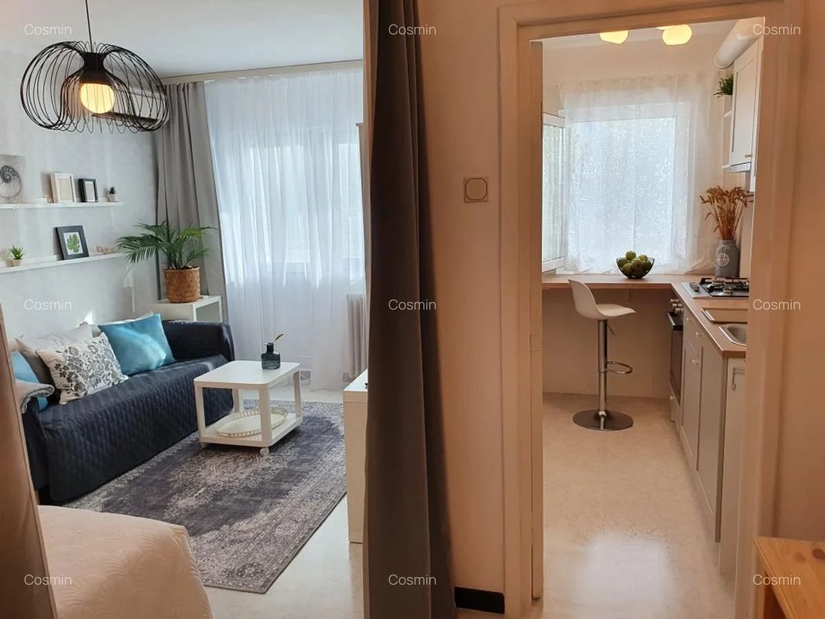 Garsoniera- Banu Manta, Kiseleff - Poză 2