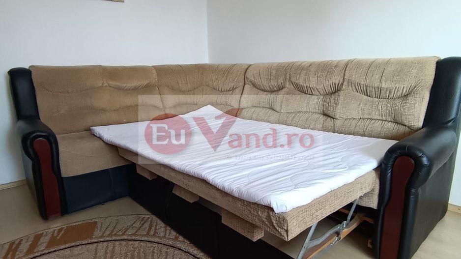 De inchiriat - apartament cu o camera, Gara, mobilat si utilat - 300 euro - Poză 10
