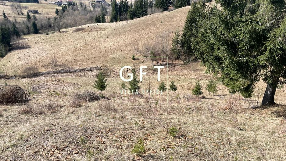 Teren intravilan parcelabil- 17703 mp,Colibita - Poză 2